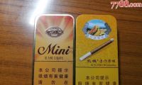长城迷你雪茄：品味与价值的完美融合