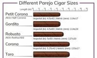 探索古巴雪茄的奥秘：尺寸、图片与价格指南