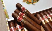 古巴雪茄：品味与价格的艺术之旅